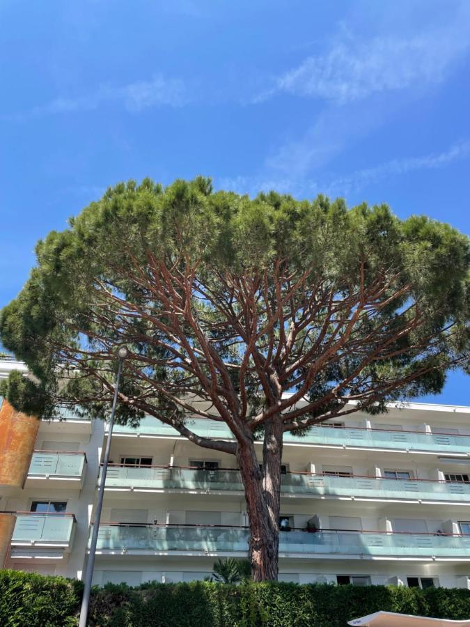 Superbe Studio Lumineux Sur Cannes Avec Terrasse ! A Quelques Minutes De La Celebre Rue D'Antibes ! エクステリア 写真